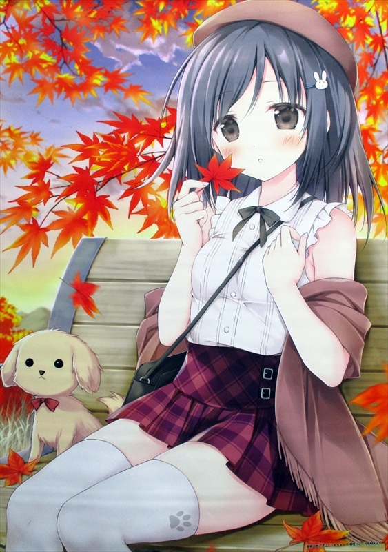 main_image